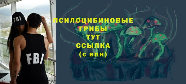 дурь Лиски
