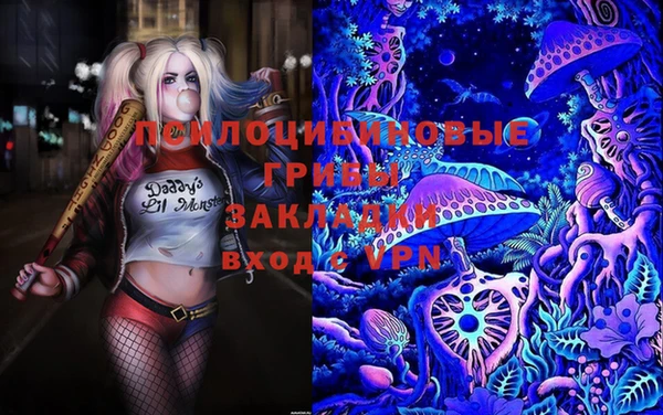 spice Липки