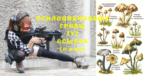MDMA Premium VHQ Магадан