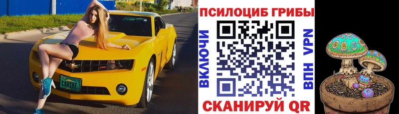 Галлюциногенные грибы MAGIC MUSHROOMS  наркота  OMG tor  Фокино 